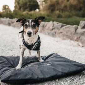 District 70 Lodge Crate Mat Hundekissen dunkelgrau 4