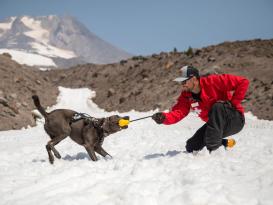 Huck-a-Cone™ Hundespielzeug 4