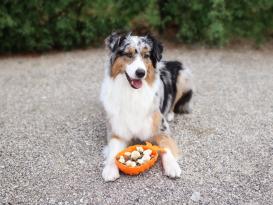 Ladi Mat Ananas Schleckmatte für Hunde 4