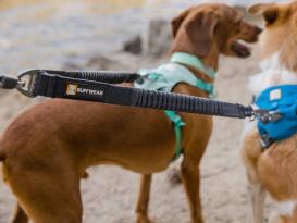 Ruffwear Double Track™ Coupler Koppel für 2 Hunde 4