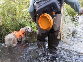 Ruffwear Bivy™ Faltnapf Hundenapf Salamander Orange 4