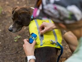 Ruffwear Trail Runner™ Hundenapf Reisenapf Blue Pool 4