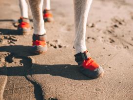 Ruffwear Grip Trex ™ Hundeschuhe Red Sumac 4