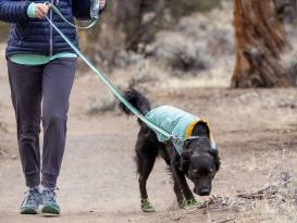 Ruffwear Hi & Light™ Hunde-Wanderschuhe 2er-Set River Rock Green 4