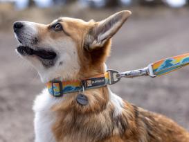 Ruffwear Crag™ reflektierendes Hundehalsband Rising Wave 4