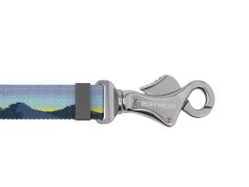 Ruffwear Crag EX™  reflektierende Hundeleine Alpine Dawn 4