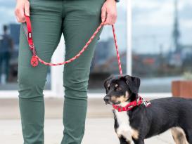 Dog Copenhagen Flexy™ Kotbeutelhalter Classic Red 4