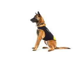 Julius K-9 IDC® Neopren Hundemantel 4