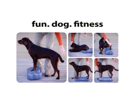 FitPAWS® Giant K9  FITbone™ 4