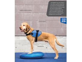 FitPAWS® Balance Disc blau 4