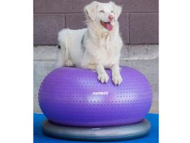 FitPAWS® TRAX Donut 4