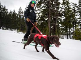 Ruffwear Patroller™ Leash Hundeleine Cindercone Red 4