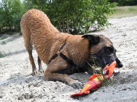 Hundespielzeug Hozies Sammy Stripes Feuerwehrschlauch 4