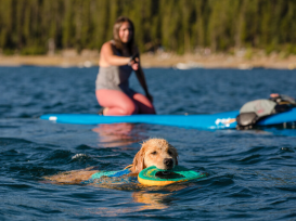 Ruffwear Hydro Plane™ Frisbee 4