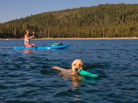 Ruffwear Lunker Wurfspielzeug für Hunde 4