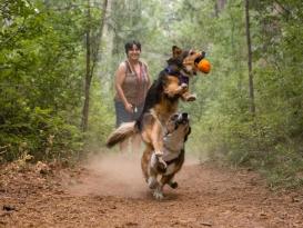 Ruffwear Turnup™ befüllbares Hundespielzeug Campfire Orange 4