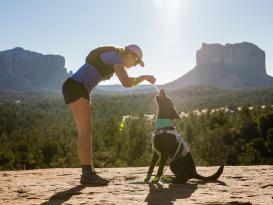 Ruffwear Swamp Cooler kühlendes Halstuch Aurora Teal/ Heliotrope Purple 4