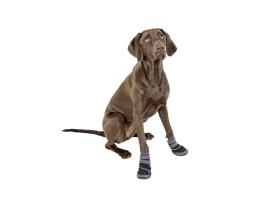 Hundeschuhe Pfotenschutz Active 2-er Set 4