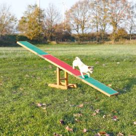 Dog Activity Fun Agility Wippe aus Kiefernholz 4