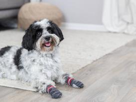 Hundesocken Anti-Rutsch 4