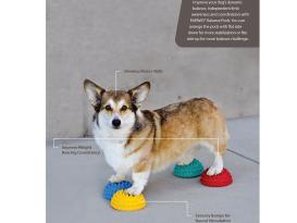 FitPAWS® Paw Pods Set 4