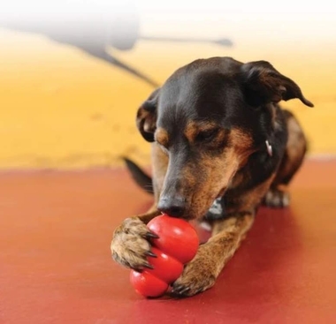 Kong Classic Kauspielzeug für Hunde