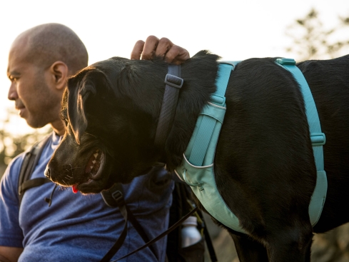 Ruffwear Front Range™ 3.0 Hundehalsband Basalt Gray