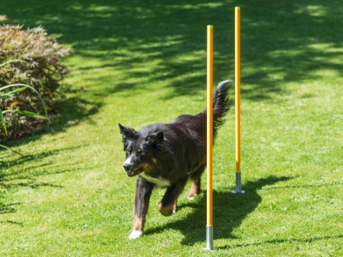 Flexibler Hering für Slalomstangen