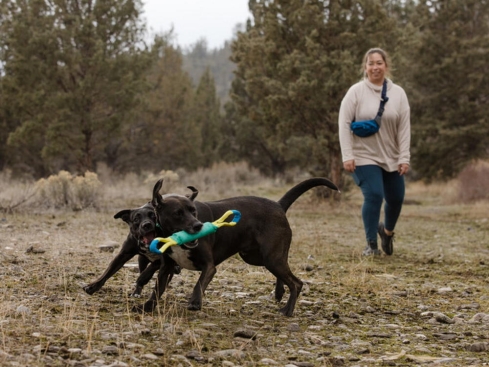 Ruffwear Pacific Loop Hundespielzeug Aurora Teal