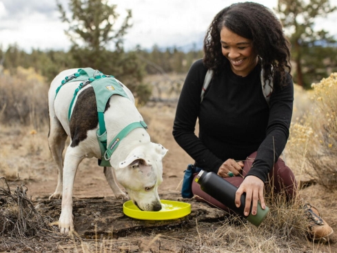 Ruffwear Camp Flyer Hunde-Frisbeescheibe Lichen Green