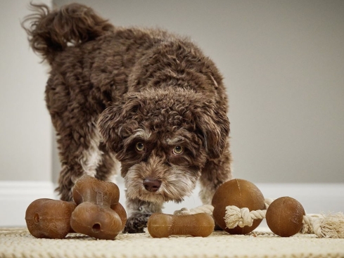 Wolters Pure Nature Spielball am Seil für Hunde