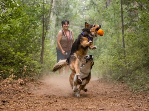 Ruffwear Turnup™ befüllbares Hundespielzeug Campfire Orange