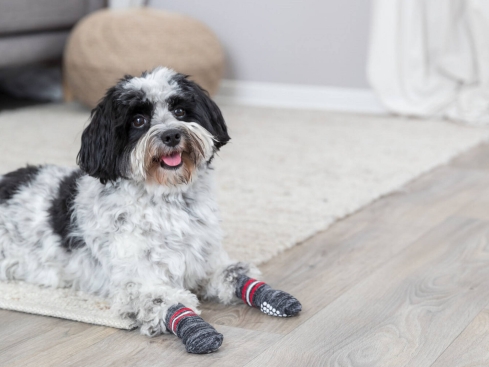 Hundesocken Anti-Rutsch