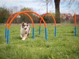 Hoopers Bogen Set aus Kunststoff mit Erdspießen 5