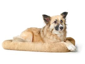 Hundematte Vermont Cozy beige 5