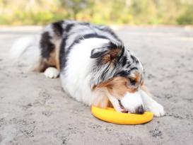 Ladi Mat Banane Schleckmatte für Hunde 5