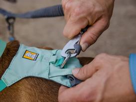 Ruffwear Double Track™ Coupler Koppel für 2 Hunde 5