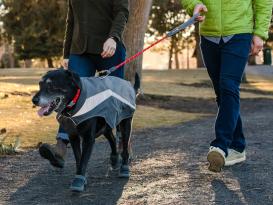 Ruffwear Knot-a-Long™ Kurzführer Hundeleine Red Sumac 5