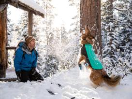 Ruffwear Cloud Chaser™ Winter Softshell Hundemantel Aurora Teal 5