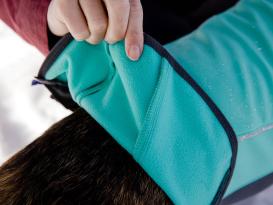 Ruffwear Undercoat™ Hunde-Neoprenanzug Aurora Teal 5