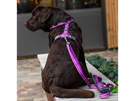 Dog Copenhagen Comfort Walk Air V3 Hundegeschirr Purple Passion 5