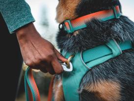 Ruffwear Front Range™ 3.0 Hundeleine Spring Fade 5