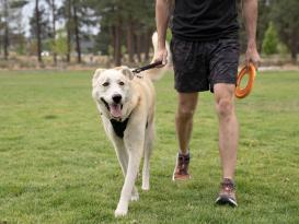 Ruffwear Front Range™ Kurzführer Basalt Gray 5