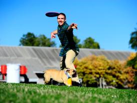 Chuckit Paraflight Frisbee schwimmfähig 5