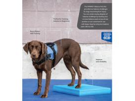 FitPAWS® Balance Pad 5