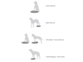 FitPAWS® Balance Disc blau 5