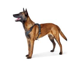 Hunter Hundegeschirr Aalborg Rindleder schwarz 5