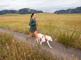 Ruffwear Front Range™ 2.0 Hundegeschirr Red Sumac 5