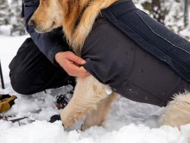 Ruffwear Cloud Chaser™ Winter Softshell Hundemantel Obsidian Black 5