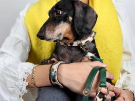 DWAM Ivy Halsband für Hunde 5